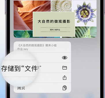 义马apple维修中心分享iPhone文件应用中存储和找到下载文件