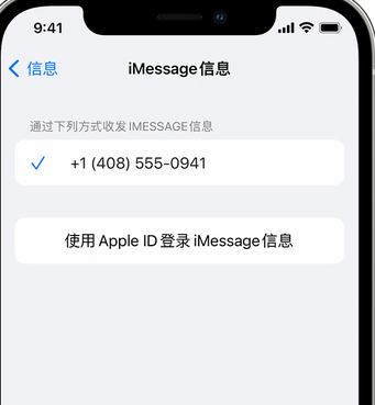 义马apple维修iPhone上无法正常发送iMessage信息 