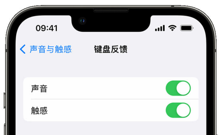 义马苹果手机维修分享iPhone 14触感键盘使用方法 