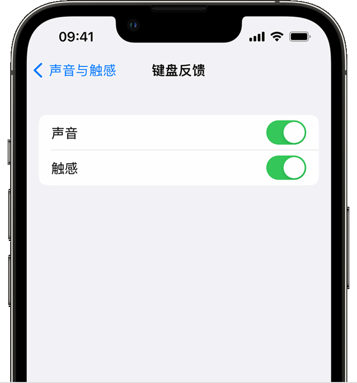 义马苹果14维修店分享如何在 iPhone 14 机型中使用触感键盘 