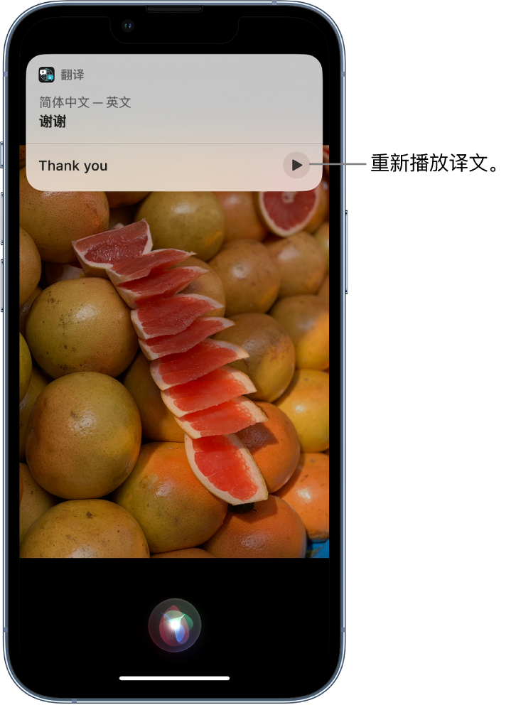 义马苹果14维修分享 iPhone 14 机型中使用 Siri：了解 Siri 能帮你做什么 